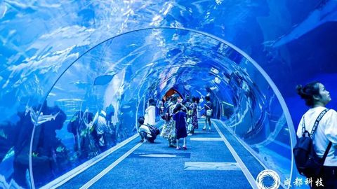 提前剧透！歼-10C明日“现身”科技活动周