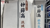 因無(wú)償債能力，鐘薛高子公司被申請(qǐng)破產(chǎn)