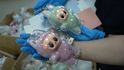 5961个“假布布”落网，未经授权使用“POP MART”标识，上海海关依法行政扣留该批货物