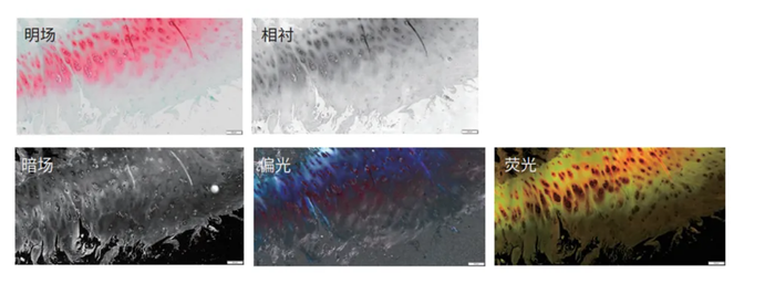 https://img3.jiemian.com/101/original/20250619/import_1750318048950620170018_a700xH.png