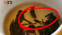 奈雪小盒茶喝出青蛙？整只现身被归还门店，客服称已有专人跟进核实