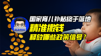 国家育儿补贴终于落地，精准撒钱释放哪些政策信号？｜商业微史记