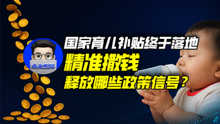 国家育儿补贴终于落地，精准撒钱释放哪些政策信号？｜商业微史记