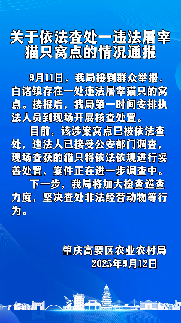 肇庆高要区依法查处一违法屠宰猫只窝点