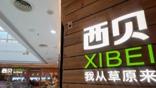西贝一门店logo变白绿，加口号“我从草原来”，工作人员：总部第一家店换的