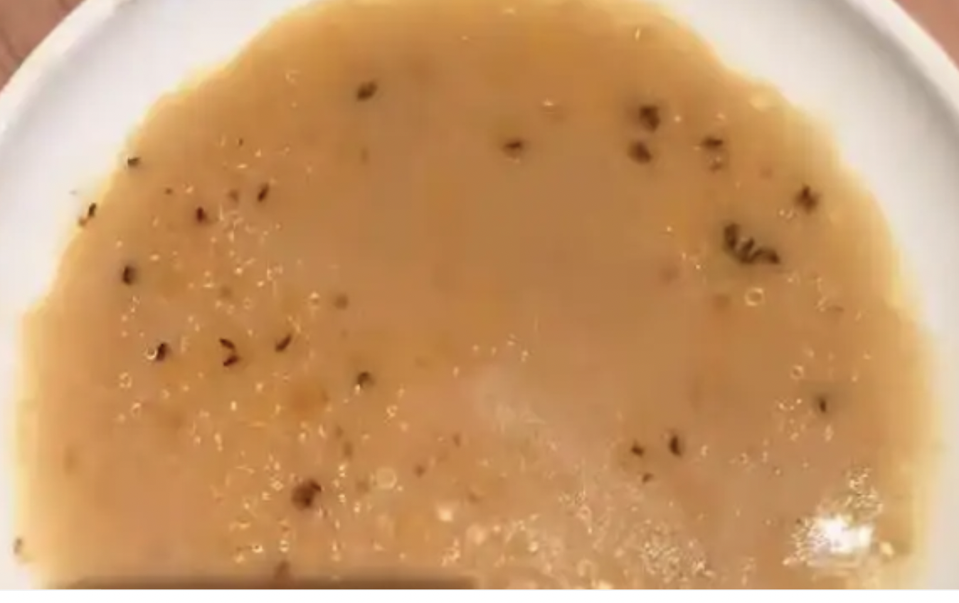 面汤中出现大量黑虫？味千拉面：涉事门店已停业整改|界面新闻
