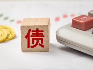 乐视时隔三年再发公开信，质疑熊猫家电破产逃债