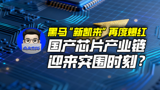 黑马“新凯来”再度爆红，国产芯片产业链迎来突围时刻？｜商业微史记