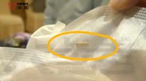 苏菲安心裤惊现活虫，品牌方鞠躬道歉，称虫是印度谷螟，将检测原因
