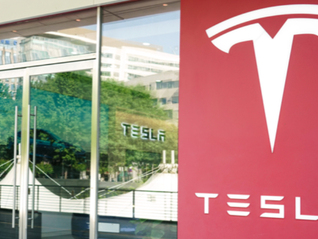 杨天真称特斯拉打不开车门，客服：系统更新中建议不要动车