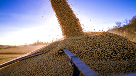 中国在本收获季首次从美国购买大豆?美国豆农急盼订单