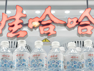 宏胜集团法定代表人变更为另一“老将”郑群娣，曾任职于娃哈哈童装