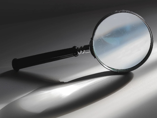 “最强地级市”56岁副市长落马，曾负责生态文明建设与开放型经济工作