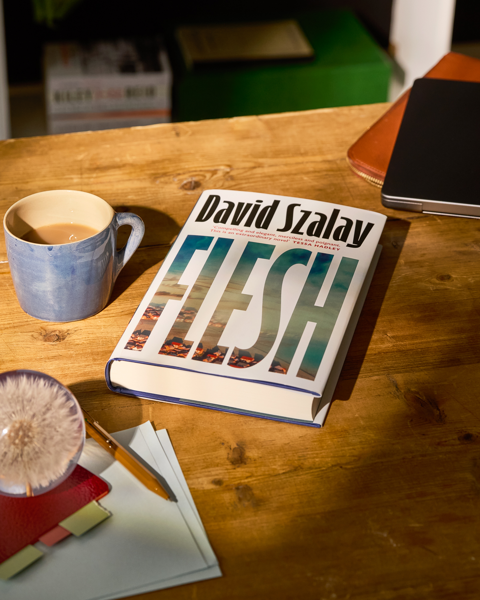 湖南在线:生活杉德卡回收-大卫·绍洛伊凭《肉身》获2025布克奖，书中探讨了男性气质