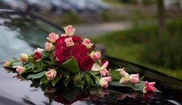 地方新闻精选 | 河北香河6人拦截婚车索要香烟被处罚 游客在瑞丽1.5万买“翡翠”实为假货