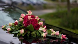 地方新闻精选 | 河北香河6人拦截婚车索要香烟被处罚 游客在瑞丽1.5万买“翡翠”实为假货