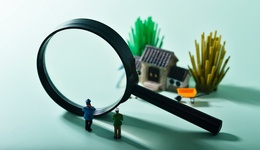 两部门：不许城镇居民购买农房和农村宅基地，不许退休干部到农村占地建房