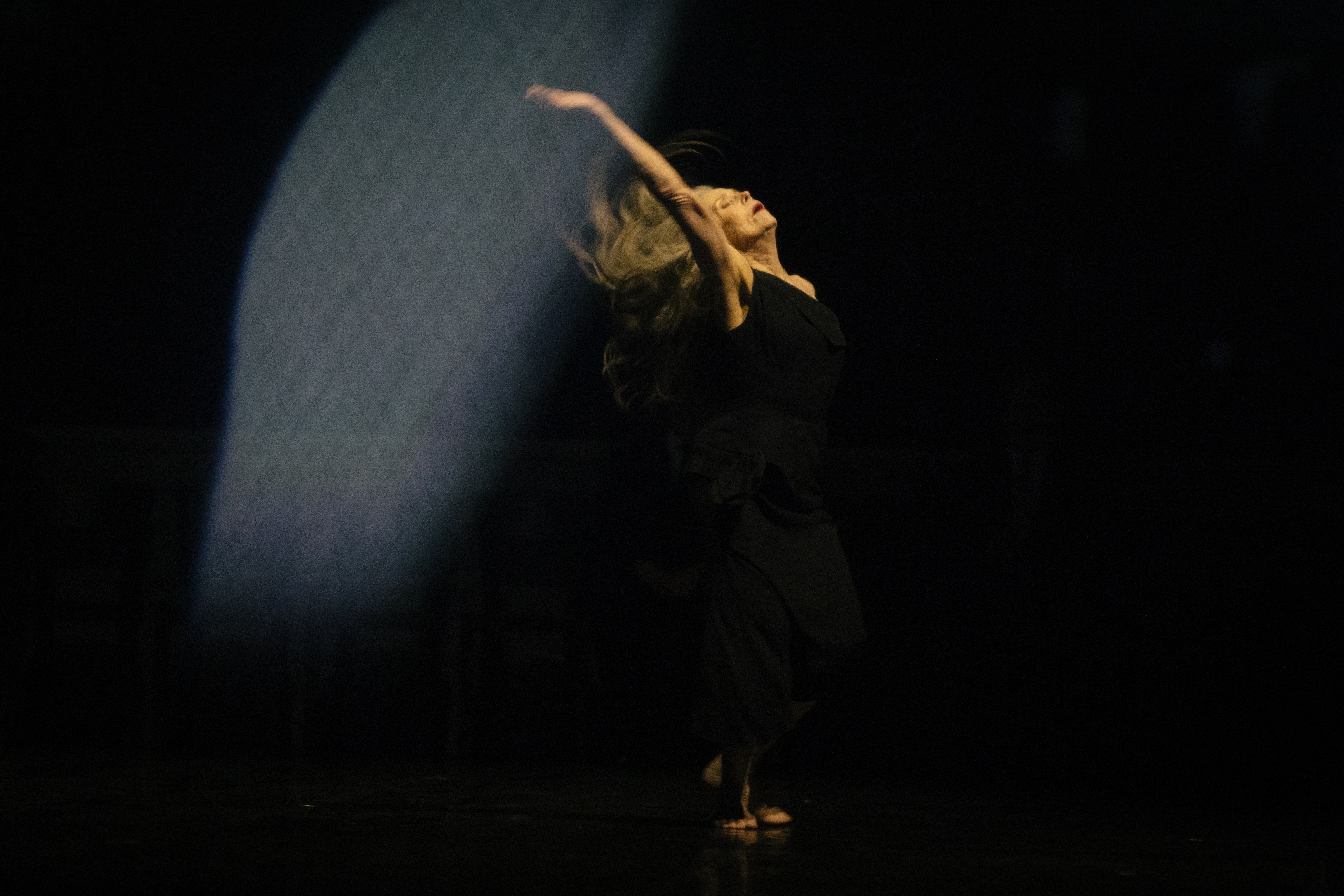 在2025年寻找皮娜·鲍什