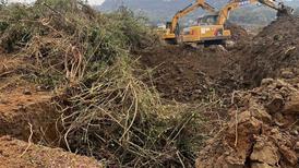 法治面|为整治土地“非粮化”百亩苗圃被毁,四川高院裁定提审