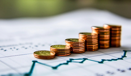 坐拥2万只实验猴，鼎泰药研冲刺港股，账上仅4亿现金27亿赎回压顶