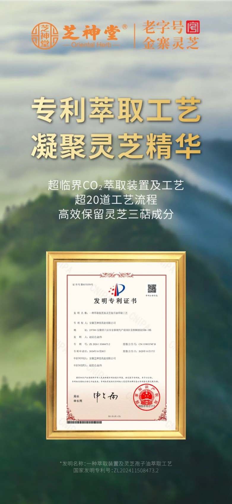 1763436033132326.jpg 14.jpg