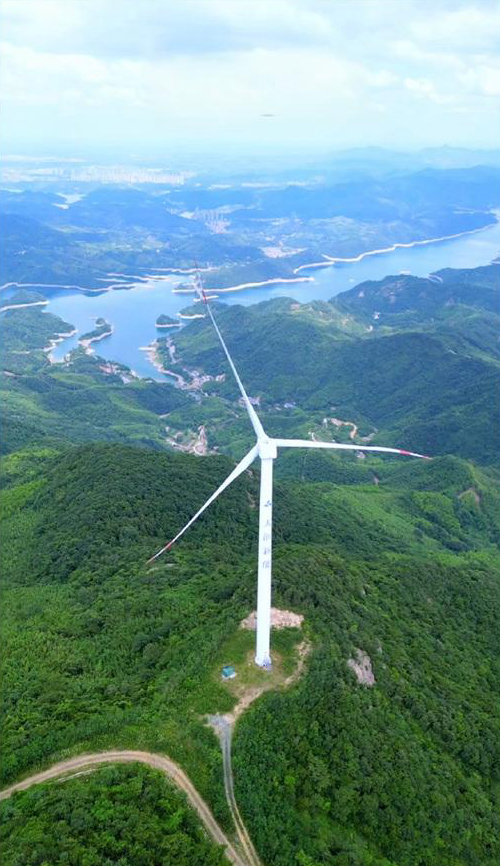 1763435861242873.png 4.png