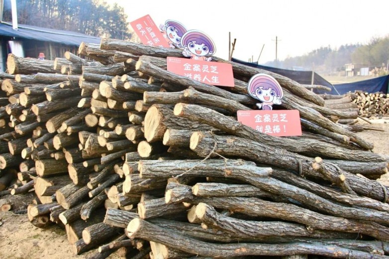 1763435923663147.jpg 9.jpg