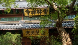 地方新闻精选 | 杭州宣布灵隐寺12月1日起免门票 厦门海关查获807只“异宠”