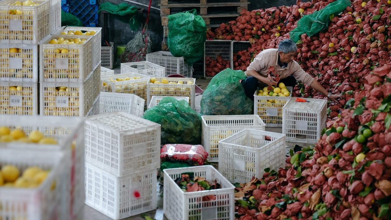 拼多多的下一个十年：“Costco+Disney”照进现实
