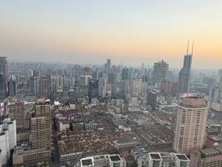 上海年内第九批次土拍：共揽金173亿，民企积极“捡漏”