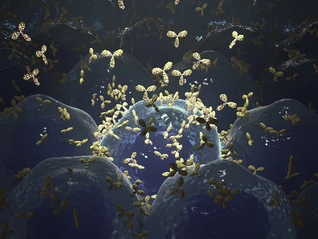 上海深化药械监管改革，医疗机构中创新药配备率已“非常高”