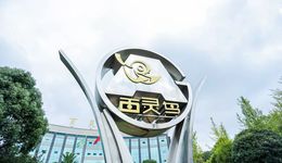 公章财务被夺、三年引战受阻，贵州百灵陷纾困“夺权”漩涡，以诉讼讨回公道