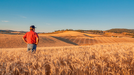 资金来自关税收入,美国政府将为农民提供120亿美元救助