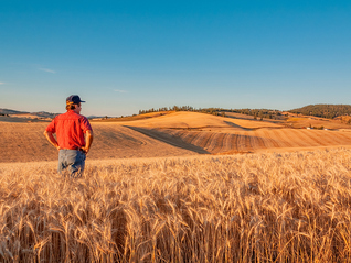 资金来自关税收入，美国政府将为农民提供120亿美元救助