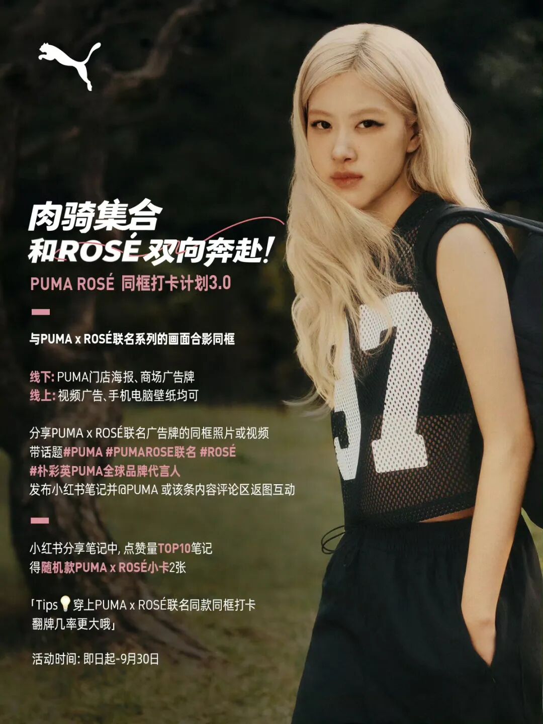 娱乐明星成运动户外品牌争抢焦点,品牌代言大盘点揭秘原因