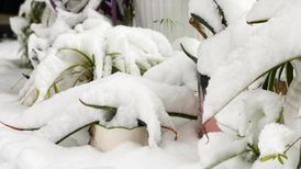 直通部委|气象局启动重大气象灾害四级应急响应 11月份CPI同比上涨0.7%