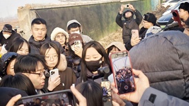 北京首例宠物投毒刑案宣判,“反虐待动物”下一步能走向哪?