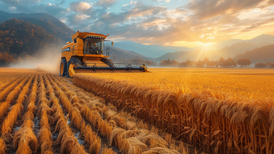 再超1.4万亿斤,我国粮食总产量已实现“二十二连丰”