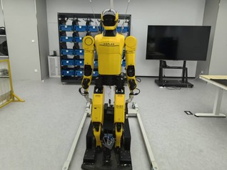 又一家上海公司开始交付人形机器人，但成批进厂尚需时日