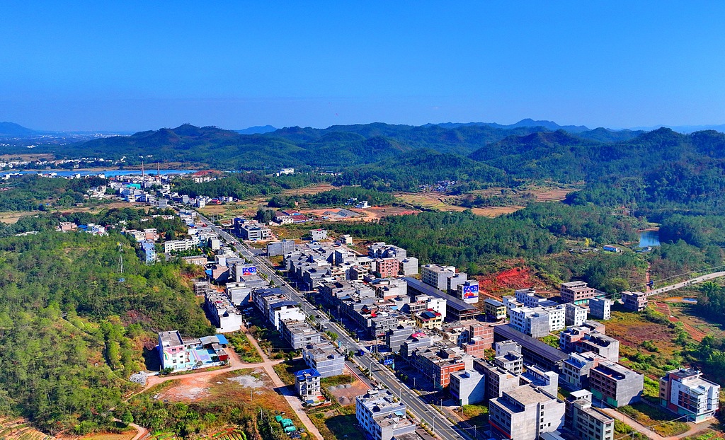 【专访】胡冰川：提高老年农民收入，要保障兜底与增收赋能并重 | 前瞻十五五㉘