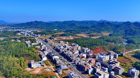 【专访】胡冰川:提高老年农民收入,要保障兜底与增收赋能并重 | 前瞻十五五㉘