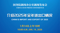 国新办举行新闻发布会 介绍2025年全年进出口情况