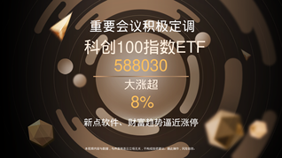 重要會(huì)議積極定調(diào)，科創(chuàng)100指數(shù)ETF(588030)大漲超8%，新點(diǎn)軟件、財(cái)富趨勢(shì)逼近漲停