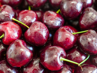 匈牙利樱桃和塞尔维亚蓝莓都来了，欧盟积极拓展中国农产品市场