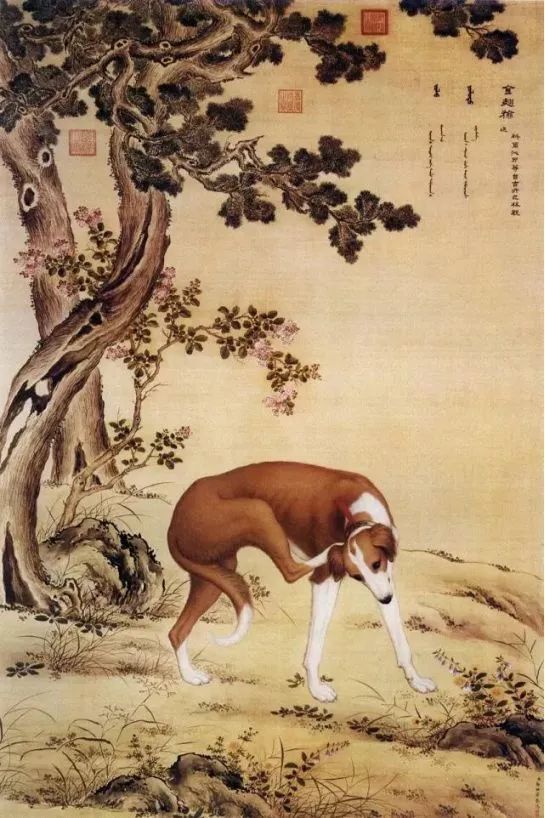 狗年说狗 瑞犬纳福我们把5000年前的狗子都给你找来了 界面 财经号