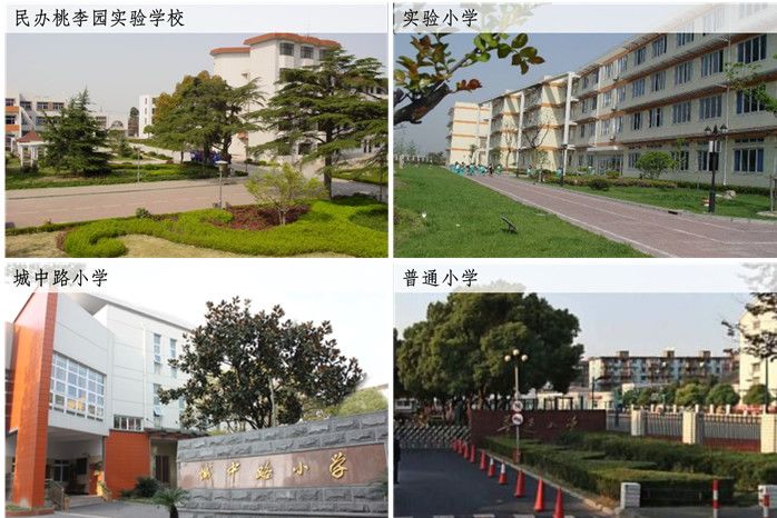 桃李园实验小学图片