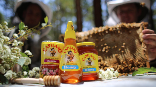 澳洲蜂蜜“掺假”事件再升级，市场上超过40%不是纯蜂蜜|界面新闻· JMedia