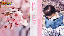 樱花飞舞四月天，来杭州感受味蕾上的春日气息！