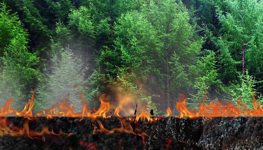 西昌森林火灾最新消息:泸山正面明火全部扑灭