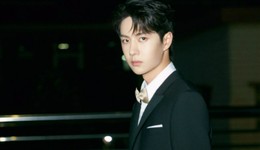 王一博成首个代言保险的流量明星，代言表现如何？